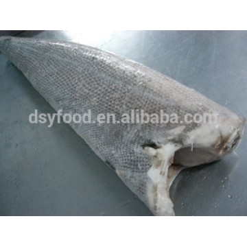 Oilfish